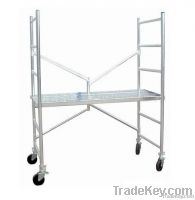 Scaffolding Ladder