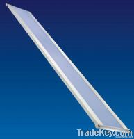 T5 Fluorescent light