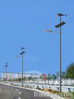 Wind Solar Hybird Street Light