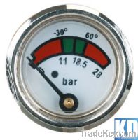 Diaphragm pressure gauge From China