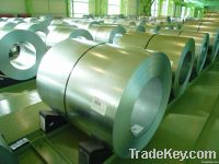 Cold Rolled Non Grain Oriented Silicon steel