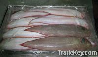 Sole Fish