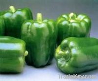 capsicum for sale