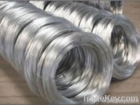 Electro Galvanized Iron wire