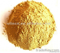 Ginger P.E. Extract