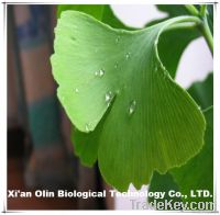 Ginkgo Extract