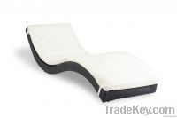 Outdoor Chaise Chair/Lounge Furniture