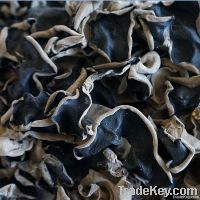 Dried black fungus on sale