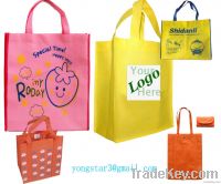 2013 Promotional PP nonwoven bags