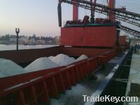 raw washed salt