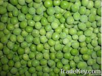 https://cn.tradekey.com/product_view/2013-Frozen-Green-Peas-5197568.html