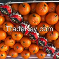 Clementines (mandarin hybrid )