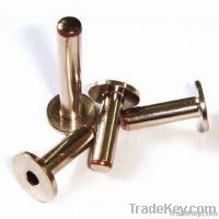 silver  contact   rivets