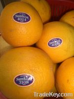 Fresh Oranges (Valencia And Navel)