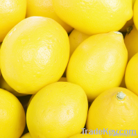 Fresh Yellow and Green Lemons