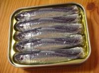 Canned Sardines in Oil