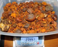 Cheap Price Cow Gall Stones / Ox Gallstones for Sale