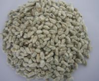 100% NATURAL ORGANIC BEST COTTON SEEDS FOR WHOLESALE PURCHASE