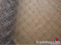 chain link fence(Manufacturer) From China