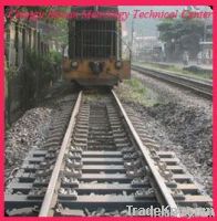 Electronic Weigh Sleeper In-motion Train