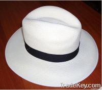 Borsalino Sur