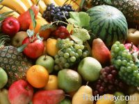 Apples, Avocados , Bananas , Berries , Cherries , Citrus Fruit , Coconuts , G