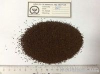 Black tea CTC