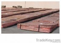 Copper Cathodes 99.99% purity