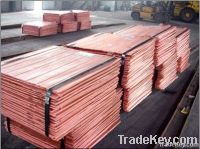 Copper cathode