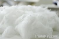 Polyester Fiber PSF 1.4Dx38mm