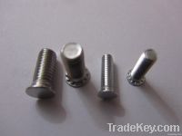 Round Head Rivet