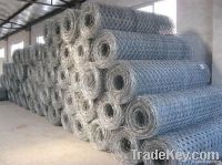 Hexagonal Wire Mesh