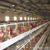chicken cage