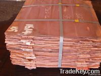 Copper Cathode 99.99%