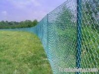 Chain Link Fence