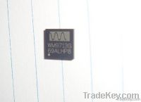 WM9713G