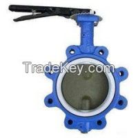 DN40-1200 PN10/16 Wafer Lug U and Flanged type Butterfly Valve From China