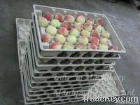 Advanced-technology tray/dish making machine From China