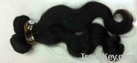 Malaysian Hair human hair free tangle full bottom 12