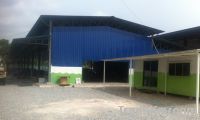 Empty Fruit Bunch (EFB) Industrial Pellets