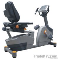 Deluxe Commercial Recumbent Exercise Bike