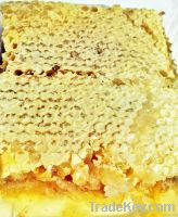 Honeycombs