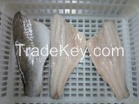 Seafood Seabass Frozen Whole Round Fillet  Seabarsch Lateslabrax Japonicus Free Medical Fresh Processing