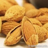 Almond badam