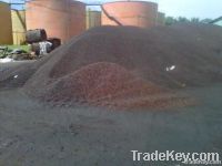 Palm Kernel Shells