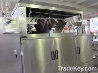 wafer production line
