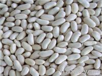 White Beans (Baishake Type)