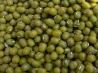 Chinese Green Mung Beans