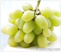 grapes