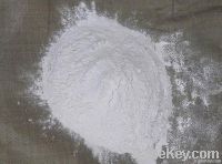 Gypsum Powder